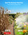 RAINPOINT Misters for Outside Patio - Upgraded 26FT(8M) Misting System Kit with Water Filter for Cooling Outdoor, 26FT Misting Line + 7 Mist Nozzles for Backyard Garden Porch Deck Greenhouse