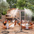 Pickmesh 2 Set Chicken Coop Mister Cooling System, 5.3ft Adjustable Standing Poultry Mister with 26ft Hose, 360° Outdoor Misting System for Chickens, Helps Keep Flocks Cooler During Hot Weather