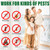 4 Pack Mosquito Repellent Patio, Peppermint Mosquito Repellant Cream Indoor