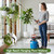 High Reach Plant Waterer Pump Pressure Sprayer for Indoor Hanging Plants