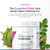 Livingood Daily Matcha + Moringa Powder, Instant Green Tea, 30 Servings