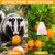 24Pack Skunk Repellent Outdoor - Raccoon Repellent Outdoor for Indoor Outdoor, Natural Peppermint Oil Bee Rodent Safe for Pets & Kids