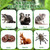 16Pack Skunk & Raccoon Repellent Pouches - Raccoon Deterrent Bags, Plant-Based Raccoon Away Solution for Garden, Yard, Porch, Trash Area, Camping
