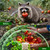 16Pack Skunk & Raccoon Repellent Pouches - Raccoon Deterrent Bags, Plant-Based Raccoon Away Solution for Garden, Yard, Porch, Trash Area, Camping
