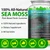 Vceeoy Sea Moss Gummies, SeaMoss Gummy with Black Seed Oil,Ashwagandha,Natural Ingredients Shilajit & Ginger for Men & Women, 60 Gummies