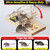 Qualirey 4 Pack Large Wooden Rat Traps, Heavy Duty Double Spring