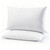Gooeb Flat Ultra Thin Bed Pillows Standard/Queen Size Pillow Set of 2 Extra Soft Down Alternative for Stomach Back Sleeping Hotel Collection