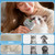 Pet Steam Brush for Dogs,Self-Cleaning,3 Swap-in Heads,Spray Hair Remover