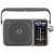 Panasonic Rf-2400D Am/FM Radio, Silver/Grey