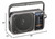 Panasonic Rf-2400D Am/FM Radio, Silver/Grey