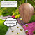 4 Pack Wasp Nest Decoy Hanging Wasp Nest Stay Away from Wasps Hornets Yellow Jackets