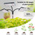 Orchbloom 3Head 75W Standing Grow Lights for Indoor Tall Plants, Monstera