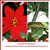 Caxchiling Outdoor Artificial Poinsettia Topiary with Ground Spike