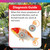 NT Labs Koi Care Acriflavin Treatment (250ml Treats 9100L)