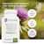 FürstenMED - Milk Thistle with Artichoke Extract, Dandelion Root & Choline - Vegan Normal Liver Health Supplement - 120 Non-GMO Capsules
