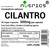 Nutrics® 500mg (per Capsule) Cilantro Coriander 90 V Capsules (1 Month Supply) Free from fillers, Binders & Bulking Agents - Suitable for Vegan Vegetarian Diet