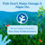 Calgee Algae Omega 3 Supplement, 450mg DHA & EPA, Carrageenan-Free & Sorbitol-Free, Vegan Softgels, Third-Party Tested, Plant-Based Fish Oil Alternative, Non-GMO, 120 Count