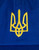 Ann Arbor T-Shirt Co. Ukrainian Tryzub Hat - Ukraine Pride, Trident Coat of Arms Symbol Low Profile Baseball Dad Hat for Men & Women - (Royal Blue)