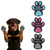 Aqumax Dog Anti Slip Paw Grips Traction Pads,Dog Feet Stickers with Stronger Adhesive,Paw Protection to Provide Traction for Slippery Floors,Essentials for Senior Dogs,12 Sets (48 pcs) XXL Multicolor