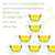 Nu Skin Pharmanex Tēgreen 97 | Supports Cell Protection | 30 Capsules