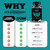 Black Forest Spermidine Supplement, 12mg per Serving - for Men and Women.