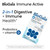 BioGaia Protectis Immune Active Probiotic | Probiotic + Vitamin D | Supports Immune, Digestive and Overall Health | Probiotics for Men & Women | Capsules | 60 Day Supply