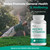Dr Brad MicroVitamin | Methylated Multivitamin + Lutein/Zeaxanthin + D3/K2