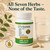 Lifetones Uric Acid Support Capsules – 7-Herb Formula with Boswellia, Devil's Claw, White Willow & Celery Seed – No Herbal Taste – Supports Healthy Uric Acid Levels & Joint Comfort – 60 Vegan Capsules