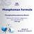 Phosphomax Fosfoetanolamina Capsules - Natural Formula 26 Years of Research