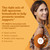 My Head! Headache Vitamins - Sensitivity, Tension, Comfort, Healthy Head Function for A Clear Mind - Fast acting Magnesium, Feverfew, Boswellia, Vitamin D, Ginger, & More - 60 Soft Capsules