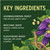 Banyan Botanicals Organic Adrenal Nourish - Cortisol Support & Stress Relief Supplement - Natural Energy & Fatigue Support with Ashwagandha & Adaptogens - 90 Tablets - Non-GMO, Vegan*