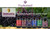 Immunia Vision. Lutein, Wild Blueberry, and Elderberry Concentrate. Eye Health Antioxidant Supplement. Concentrated Formula. Delicious Taste. 5 ml/Day. (3-Pack)