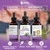 Maxx Herb Passion Flower Extract - Max Strength Passion-Flower Liquid Absorbs Better Than Capsules, for Relaxation and Stress Relief, Alcohol-Free - 4 Oz Bottle (60 Servings)