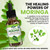 PURA VIDA MORINGA Leaf Extract Liquid Drops - USDA Organic Certified - Highly Purified, Bioavailable & Faster Absorption than Moringa Powder or Capsules - Single Origin Moringa Oleifera Leaves Extract