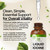 Benevolent Liquid Iodine Drops – 1300 Servings Potassium Iodide – 2 Fl Oz