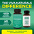 Viva Naturals Pycnogenol - 100mg French Maritime Pine Bark Extract – Supports Circulation, Antioxidant-Like Activity, Joints & Immune Health and Function – 60 Veggie Capsules