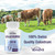 Yonrave Bovine Colostrum Capsules Supplement 1300mg - Extra High 60% IgG Bovine Colostrum - Gut, Bone, Exercise, Immune - 120 Capsules