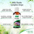A.Vogel Milk Thistle Complex Drops 100 ml | Liquid Herbal Supplement with Milk Thistle + Artichoke, Dandelion, Peppermint & Boldo | Convenient Dropper for Daily Use