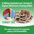 ENCAPSULATE Turkey Tail Capsules 8:1 Extract – Premium Organic Fruiting Body 8:1 Extract – Adaptogen Mushroom Supplement for Digestive, Gut & Immune Support – Lab Tested & Non-GMO – 60 Vegan Capsules