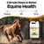 SeaBuck 7 Equine Sea Buckthorn Supplement for Horses, 1 Gallon