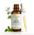 RejuveNaturals Extra Strength Oil of Oregano, USDA Organic, 1 fl oz (30ml Liquid) Wild, Mediterranean Oregano Oil. Concentrated Immune Support Drops. Gluten Free, Vegan & Non-GMO. Min 77% Carvacrol