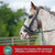 Stop Cough Horse Supplements Powder, Supports Horses with Stable Coughs, Respiratory Allergies, Free Seasonal Allergies, COPD, 2.2 lbs, 70 Day Supply