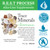 Morter Trace Minerals (3 Pack) Colloidal Fulvic Trace Mineral Drops with 70+ Minerals & 18 Amino Acids - Immune, Digestive & Energy Support - Vegetarian (1oz)