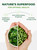 PURA VIDA MORINGA Organic Moringa Capsules, Pure Moringa Leaf Powder Single Origin for Energy, Metabolism & Immune Support, 120ct, 500mg Caps
