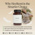 heyremi Debloat Gummies – Digestive and Bloating Support for Women