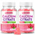 2 Pack Calcium Citrate Gummies 1000mg w/Vitamin D3, High Absorption Calcium Gummies for Women & Men, Plus Magnesium, Potassium, Zinc for Muscle & Immune Support, Raspberry Flavor, 120 Count