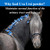 SU-PER Uva Ursi Supplement for Horses - Supports Proper and Active Kidney Function & Healthy Urinary Tract - 4 Pound