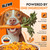Olewo Carrots Dog Food Topper for Digestive Support & Firm Stools, 2.2 lbs