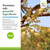 Terry Naturally Boswellia Plus - Healthy Inflammation Response - 60 Count