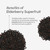 Hydralyte Plus Immune Support | Electrolytes Drink + Elderberry + Vitamin C